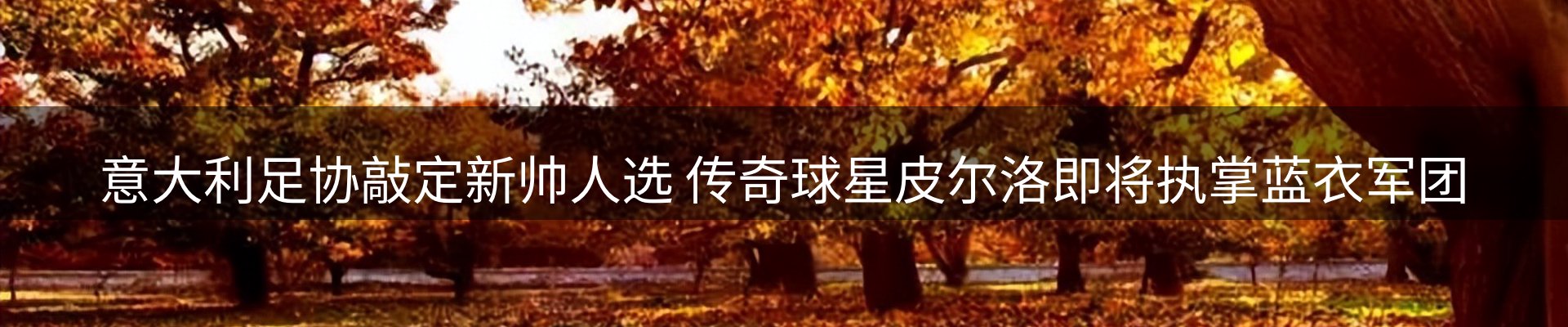 资讯动态