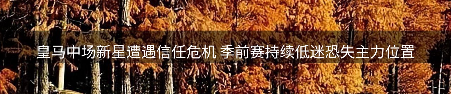 新闻快讯