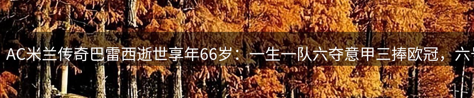 资讯动态